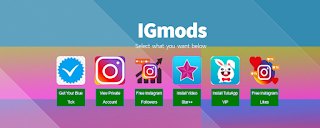 Use IGmods