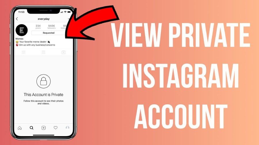 Methods to View Private Instagram Account