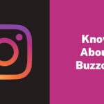 Know About Buzzoid