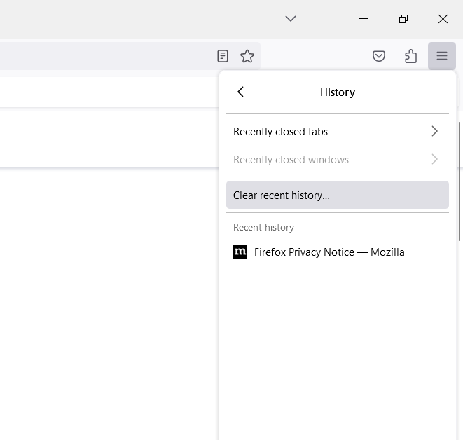 clear your browsing history on Mozilla Firefox