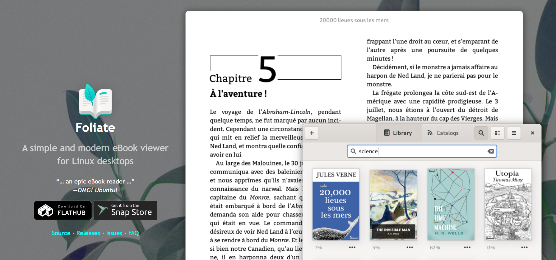 Foliate ePub Reader