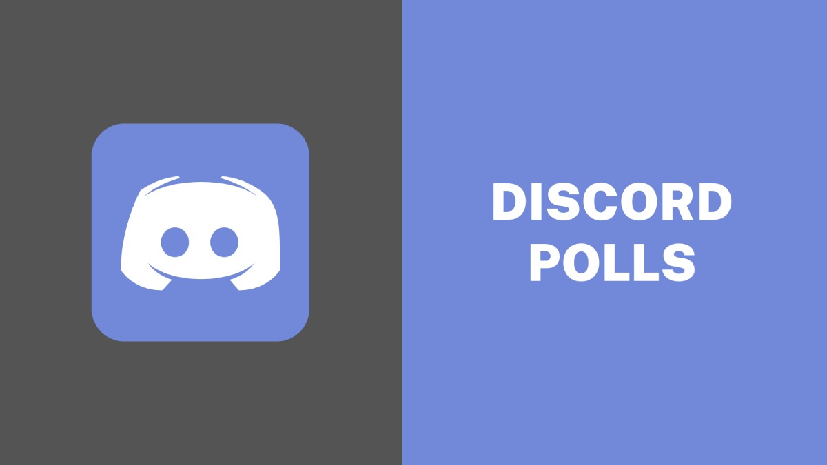 Polls on Discord