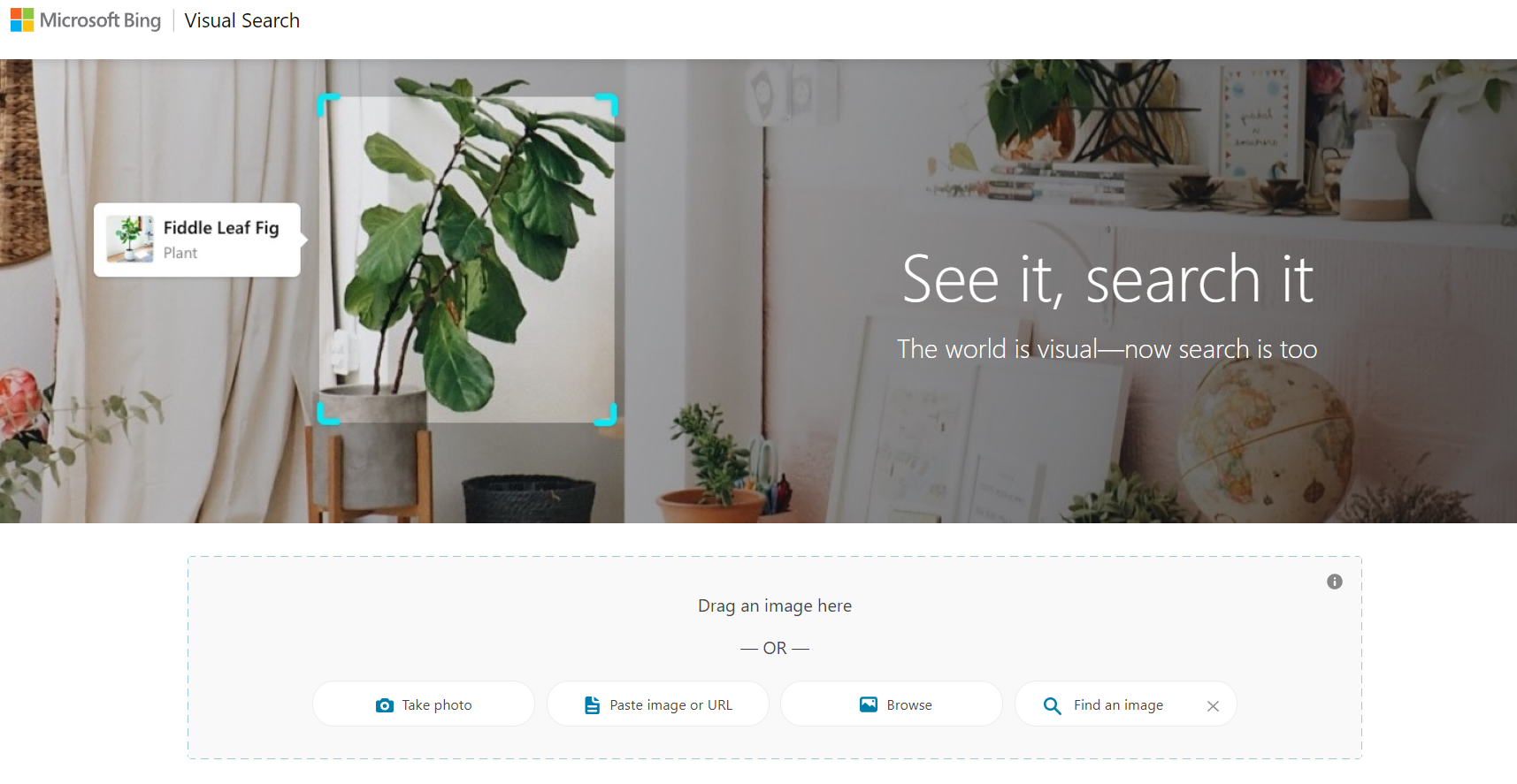 Bing Visual Search facial recognition search